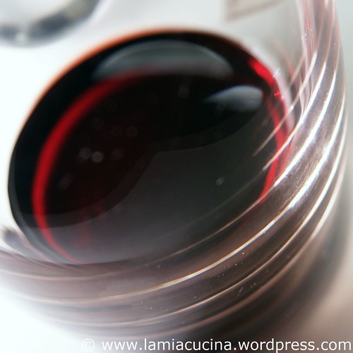Cheval blanc 0000_2010 02 07_5154