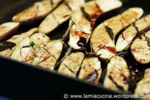 Melanzane in agro 1_2011 05 21_3823