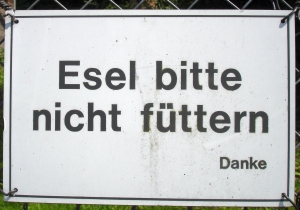 brennholz0