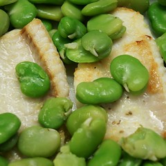 Fisch+Fave