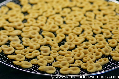 Corzetti 2_2011 05 01_3470