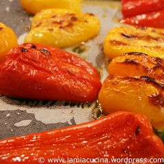 Peperonata autunnale 1_2010 08 14_8910