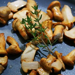 Gemüseterrinne einfach Pilzchen braten