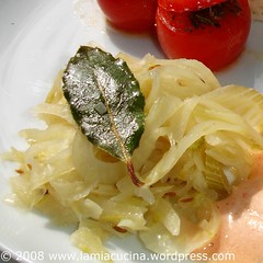Nacktes Fenchelsauerkraut