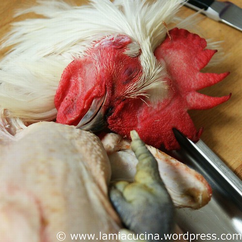 Le Coq 0_2011 02 26_2480