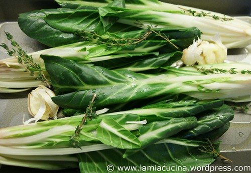 Pak-Choy 1_2010 02 17_5269