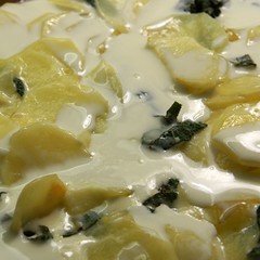 Vorbereiten des Gratins