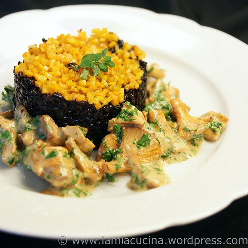 Schwarzer Risotto mit Pilzen 0_2011 09 13_6113