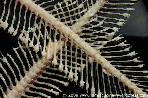 Seezunge mit Kapern und Bohnen 0_2009 04 21_9730