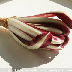 Radicchio tardivo di Trevisano
