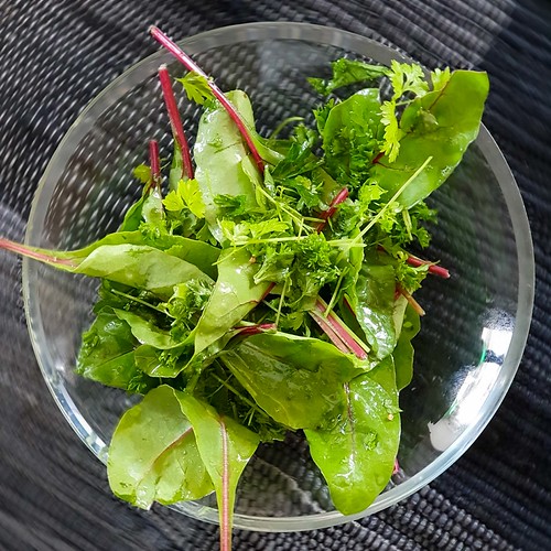 Kräutersalat 20190618_115756