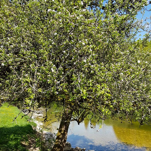 Doubs(14) Soubey 20180424_143319