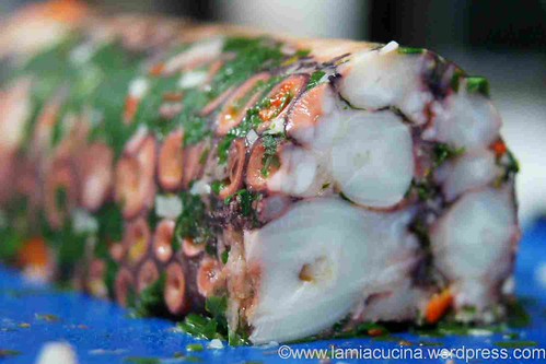 Pulpoterrine 0_2012 02 04_2762