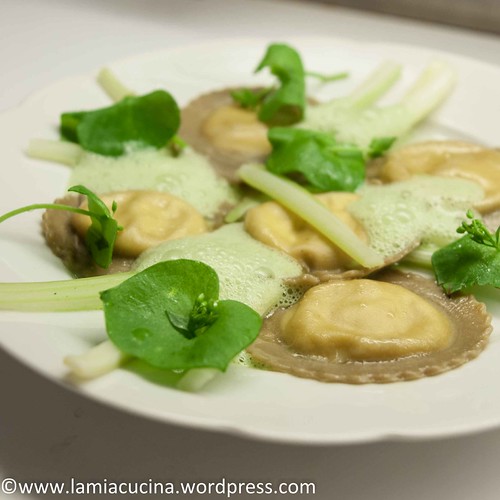 Matcha-Ravioli 2014 06 22_4529
