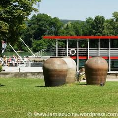 CH-4132 Schweizerhalle 1_2010 07 07_7904
