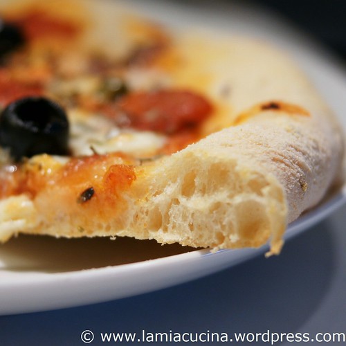No-knead Pizza 0_2010 11 26_0885