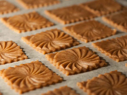 Speculoos 2014 12 12_6711