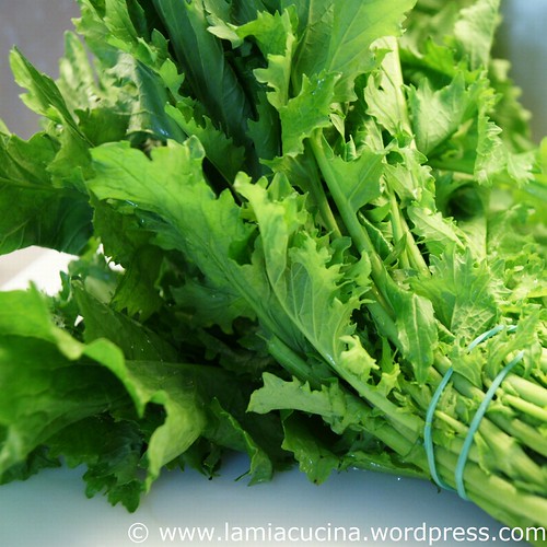 Casarecce alle cime di rapa 1_2011 02 02_2096