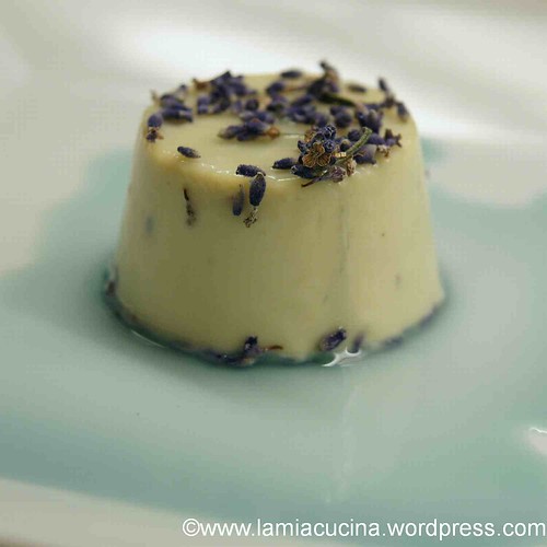 Lavendel Panna Cotta 0_2012 02 02_2612