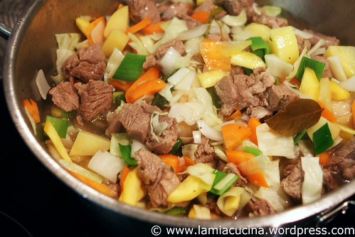 Fleisch (2) Irish stew 1_2010 09 25_9916