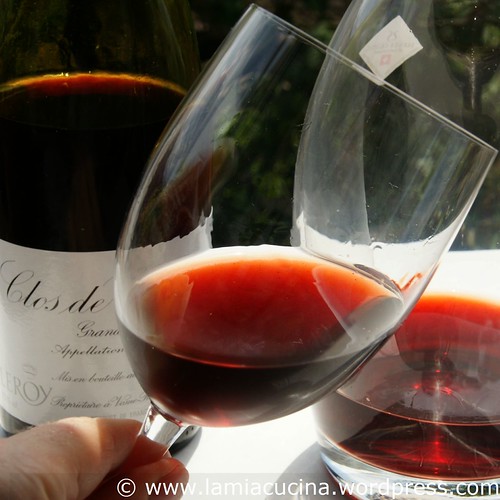 Clos de Vougeot Leroy 1994 _2009 07 15_1470