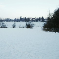 Amsoldinger See, Schloss und Kirche
