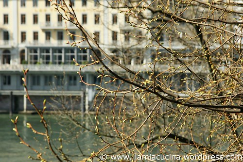 40_Jahre 0_2010 04 07_6317
