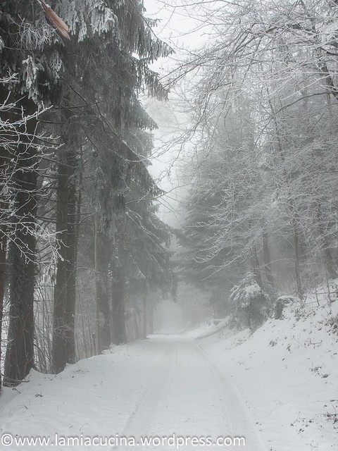 Eingenebelt 2016 02 16_0257