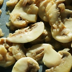 Pilzfüllung