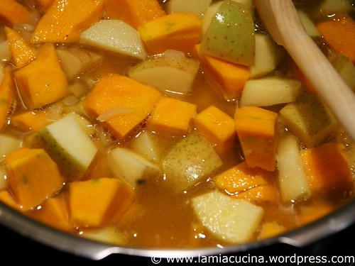 Kürbis-Apfelsuppe 2_2009 10 07_2952