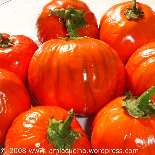 Melanzane rosse di Rotonda