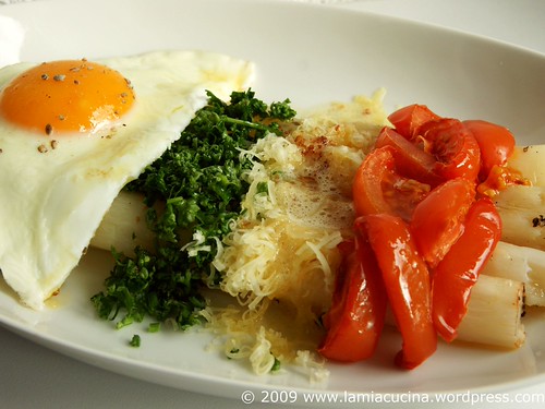Schwarzwurzeln alla milanese 0_2009 02 23_8730