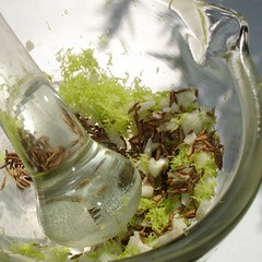 Gulaschgewürz