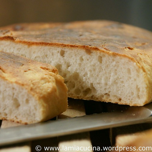 Super-Focaccia 0_2010 01 30_4955