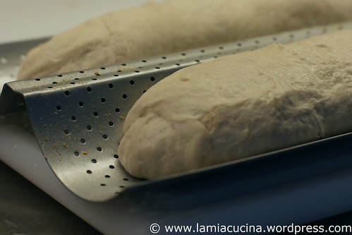 Baguette 0_2011 06 05_4021
