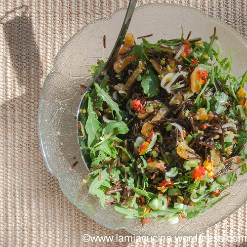 Ottos Wildreissalat 2013 07 31_1243