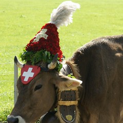 CH-8750 Glarus 2_2009 09 30_2853