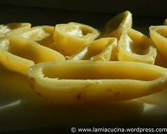 Pommes Malakoff 2_2009 12 08_3983