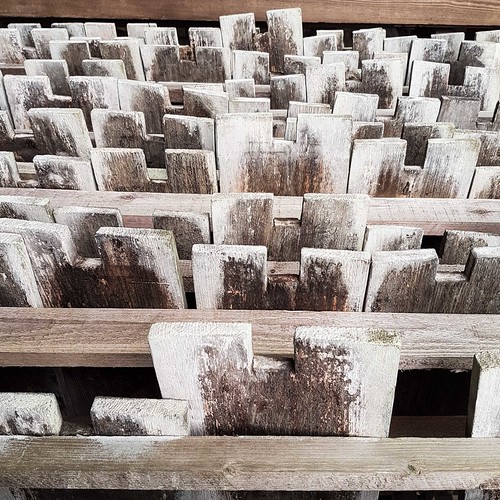 Doubs(12) Tuilerie 20170829_141216