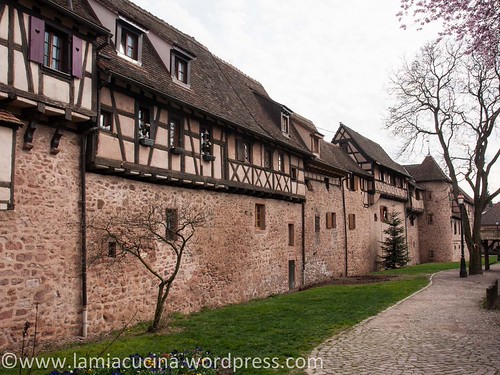 Alsace14 2014 03 18_3503