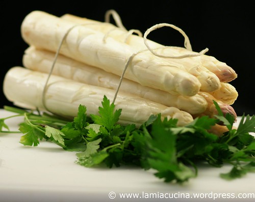 Asparagus 0_2011 05 04_3475