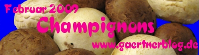 GKE_Februar09_400x112