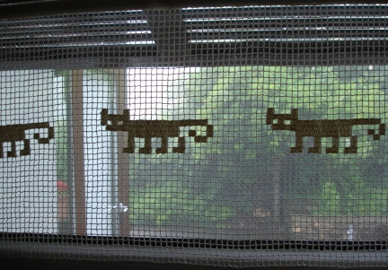 Curtain cats