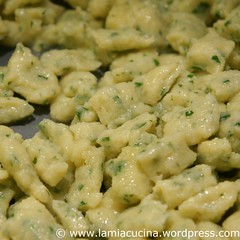 Scherenschnittgnocchi 2_2010 01 24_4849