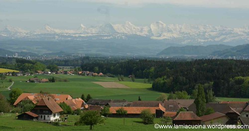 CH-3047 Bremgarten 8_2012 05 10_4688