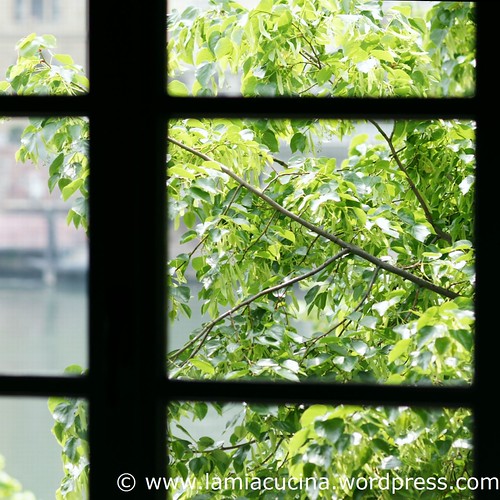Küchenausblick 3_2011 04 29_3436
