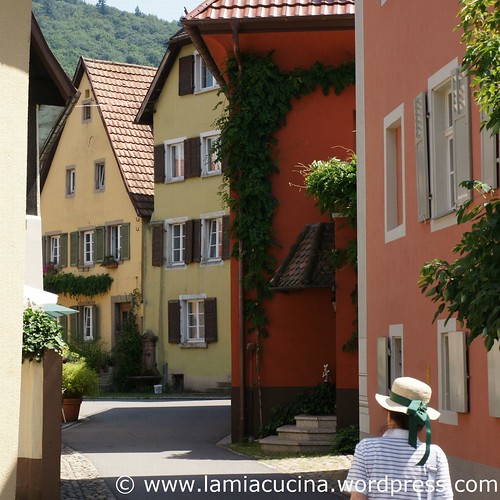 D-79219 Staufen 3_2011 07 12_4881