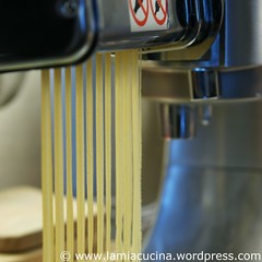 Fettuccine Alfredo 0_2010 05 09_6689