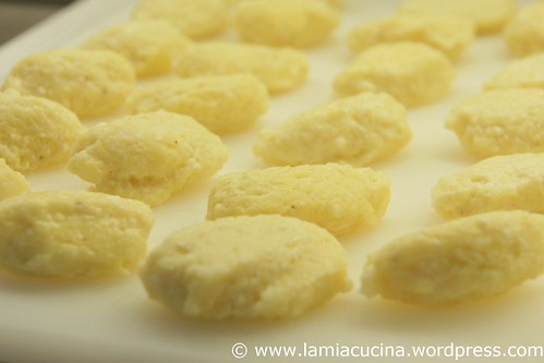 Ricotta-Gnocchi 0_2011 07 24_5171