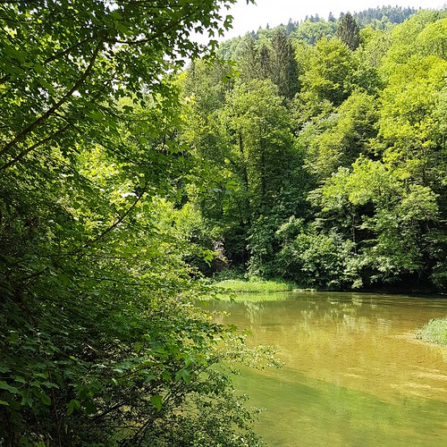 Doubs(15) 20180526_121658